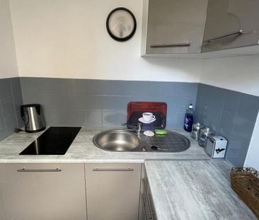 Location Appartement 1 pièce 24m² RIEDISHEIM 68400 - Photo 6