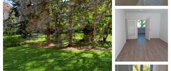 Stop! 2-Zimmer-Wohnung saniert! bezugsbereit ab Februar 2026 - Foto 1