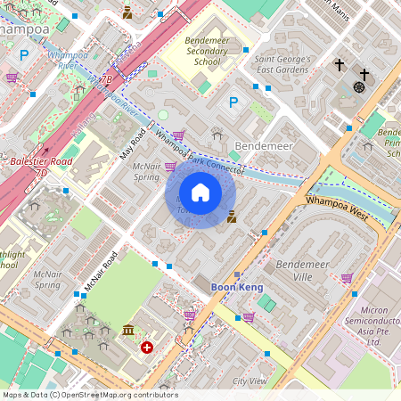 113C Mcnair Road (324113), Singapore
