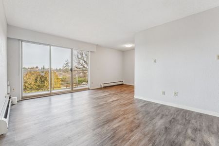 Gorge Towers - 1 Bedroom - Photo 4