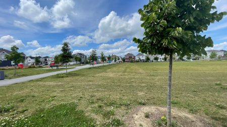 For Lease - 655 TERRIER Circle, Stittsville - Munster - Richmond, Ontario - Photo 5