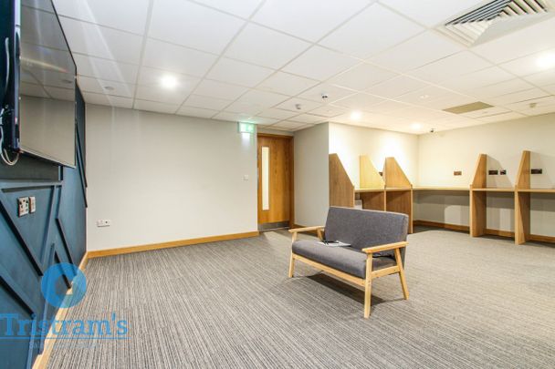 1 bed Studio for Rent - Photo 1