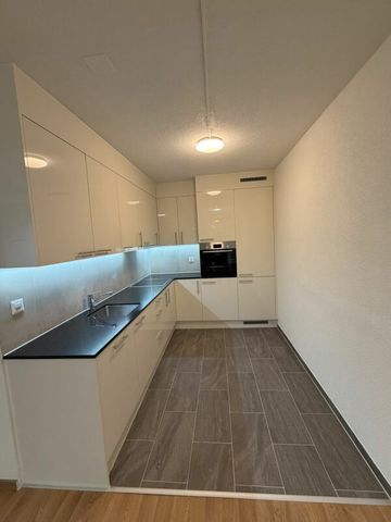 Grosse und moderne 2.5 Zimmerwohnung jetzt zu vermieten! - Photo 4