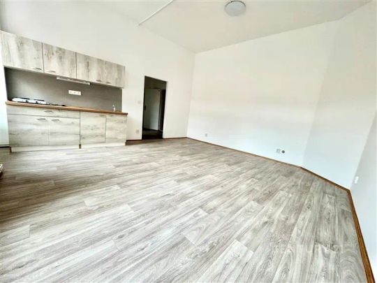Pronájem bytu 1+kk na ulici Tkalcovská - Photo 1