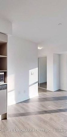 Dundas/Jarvis Beautiful +Spacious 1Bdrm Modern Kitchen Lrg Bathroom - Photo 1