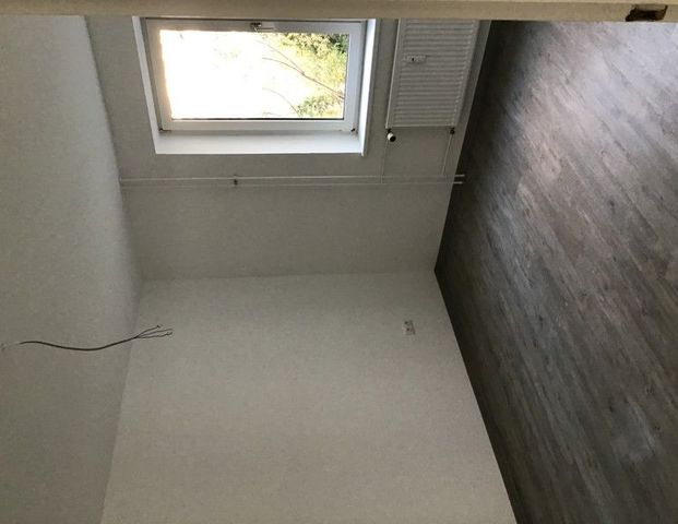 Neu renoviertes Zuhause! Helle 3-Zimmer-Wohnung ab sofort frei - Foto 1