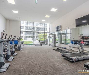 241/1 Mouat Street, Lyneham ACT 2602 - Apartment For Rent | Domain - Photo 6