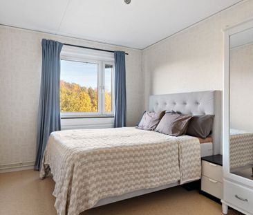 Teleskopgatan - Photo 4