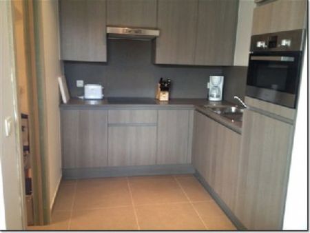 CENTRE VILLE : APPARTEMENT MEUBLE 2 CHAMBRES + TERRASSE + PARKING - Bruxelles 1 - Foto 2