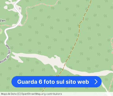 2.5 Zimmer, 53 m², 1. Stock - Foto 1