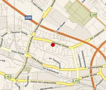 Marienburger Str. 9, 53119 Bonn OT Tannenbusch alt - Photo 1