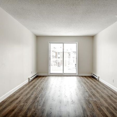 Appartement 3 ½ à louer Sainte-Foy / Sillery juillet 2026 - Photo 4