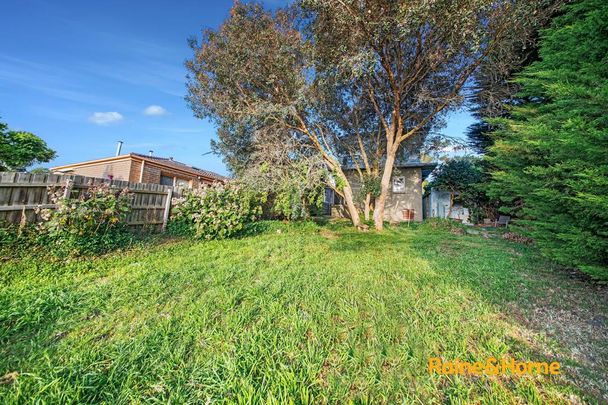 39 Hillcrest Road, Frankston, VIC 3199 - Photo 1