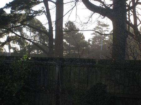 Cute Two Bedroom Unit in a Fantastic Location! - Photo 5