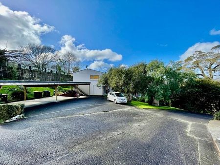 Lovely 2 Bedroom Unit in Remuera - Photo 3