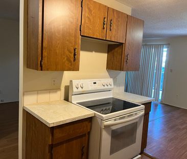 Pet Friendly 2 Bedroom Unit in Clearview Meadows! - Photo 3