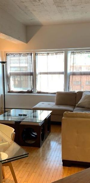 Disponible – Grand Loft 3 ½ tout inclus - Photo 1