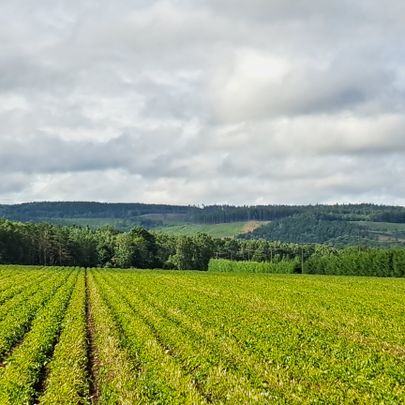 Kärr, Våxtorp - Foto 1