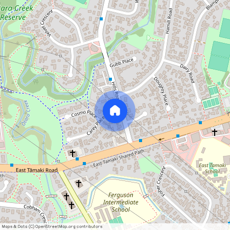 2 Carey Place, Manukau City, Otara