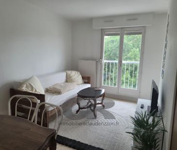 Location Appartement 1 pièce 21m² NANCY 54000 - Photo 4