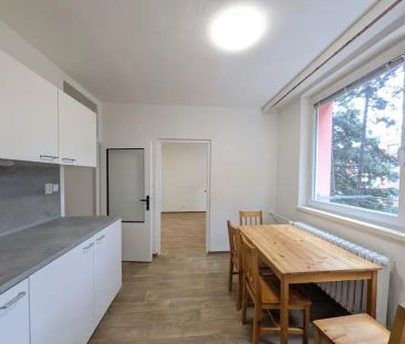 Pronájem bytu 2+1, Kunštátská Řečkovice - Photo 3