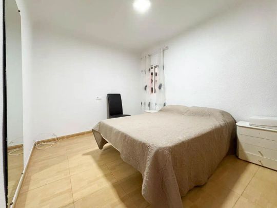 Elche / Elx - Photo 1