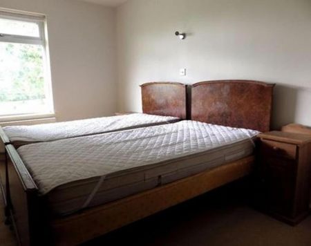 4 bedroom house share to rent - Photo 2