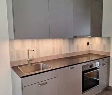 Location sans dépôt - première occupation après rénovation dans un ... - Photo 6