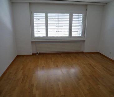 2.5 Zimmer, 50 m², 3. Stock - Photo 2