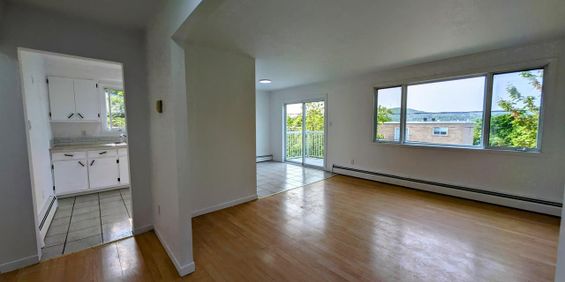 Immeuble - 2431 Maisonneuve 4 ½ à Louer - Secteur Nord - Photo 3