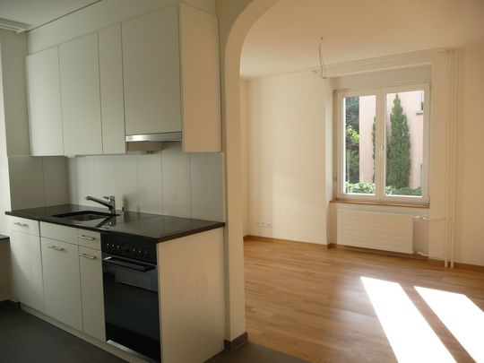 Charmante Stadtwohnung in Wipkingen mit idealer Anbindung - Foto 1