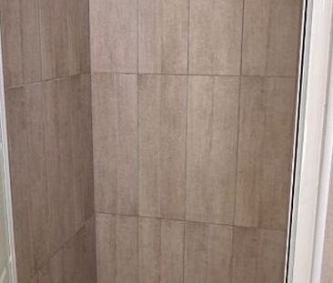 Location Appartement 1 pièce LIMOGES (87000) - Photo 2