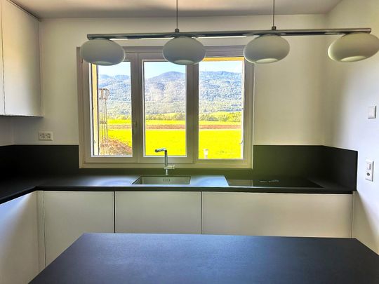 Charmante maison à louer sur Chéserex - Photo 1