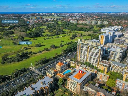 R201/780 Bourke Street REDFERN NSW 2016 - Photo 1