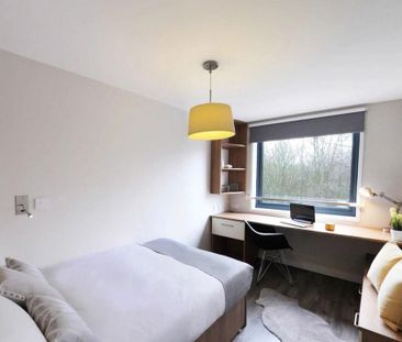 Studio to rent - Photo 4