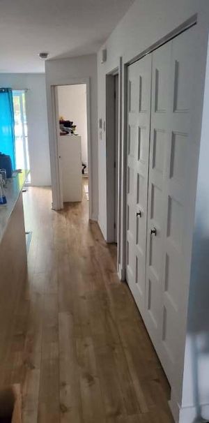 GRAND 3 ½ NEUF À LOUER – DISPONIBLE 1ER JUILLET - Photo 1