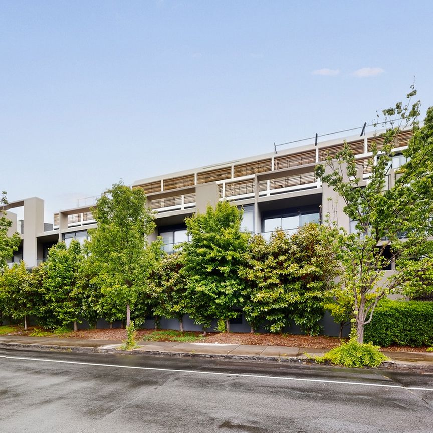 206/38 Harold Street, Hawthorn East VIC 3123 - Apartment For Rent | Domain - Photo 1