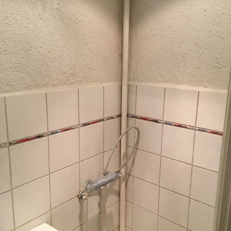 Lys og charmerende lejlighed i Aalborgs hjerte - Foto 1