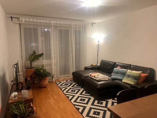 2-ROOM APARTMENT IN BERNE – BREITENRAIN, FURNISHED, TEMPORARY - Photo 1