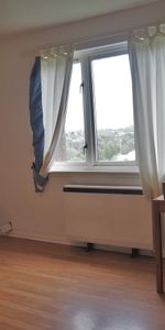 3 Sandbank Drive West End - Photo 3