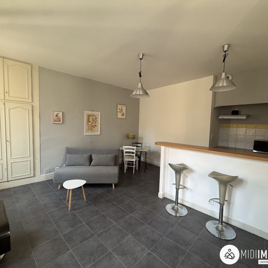 Location Appartement 2 pièces 36m² ALBI 81000 - Photo 1