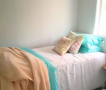 3 Bedrooms on Rata St - Photo 3