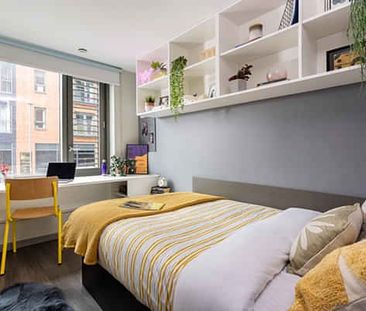 Double Partly Accessible Studio - Photo 4