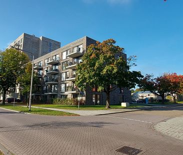 Everjachtstraat 2 -401 - Photo 6