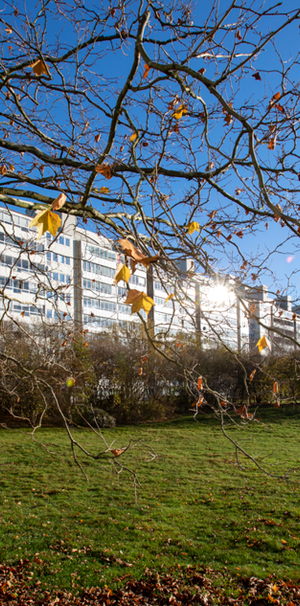 Thomsons Väg 56, Kryddgården - Foto 1