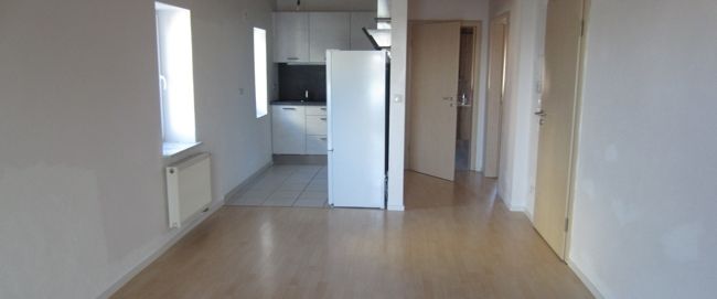 Schöne Renovierte 2-Zimmerwohnung mit Balkon an der Flutmulde - Foto 1