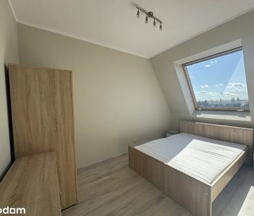 Radosna, Zalasewo - Photo 2