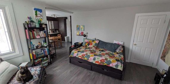 3 1/2 ensoleillé - rénové - Accepte chien - Cour privée - Photo 2