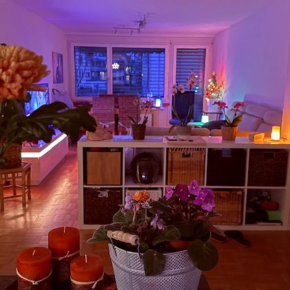 3.5 Zi-Wohnung an Einzelperson in Effretikon (ZH), möbliert, auf Zeit - Foto 1