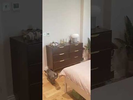 2 Bed Flat, Layla Court, N19 - Photo 2